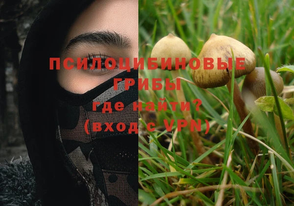 индика Балахна