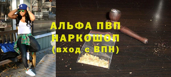 индика Балахна