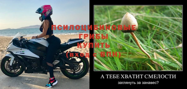 каннабис Баксан