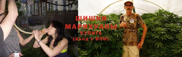 индика Балахна