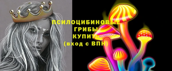спайс Беломорск