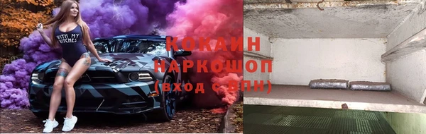 индика Балахна